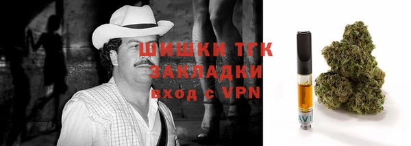 PSILOCYBIN Михайлов