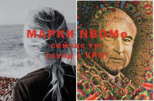 PSILOCYBIN Михайлов