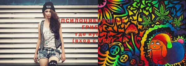 PSILOCYBIN Михайлов