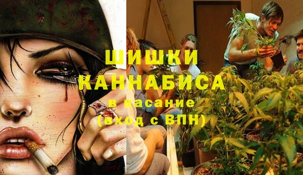 молекула духа Наволоки