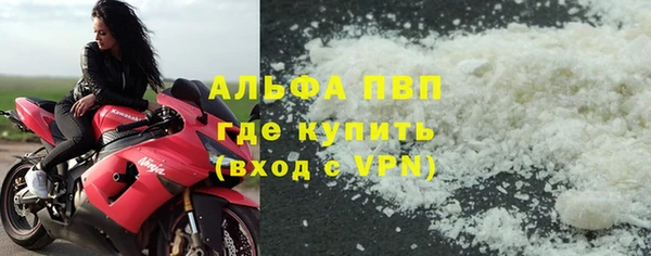 PSILOCYBIN Михайлов
