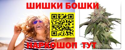 стаф Берёзовский