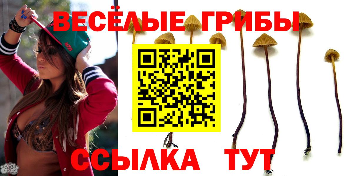 Галлюциногенные грибы Cubensis Зеленокумск