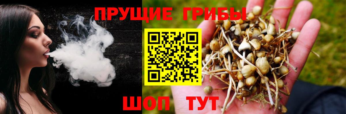 Альфа ПВП СК   КОКАИН  Зеленокумск  Меф МЯУ МЯУ кристаллы  ГАШИШ  МАРИХУАНА  ГЕРОИН  Гашиш  Каннабис 